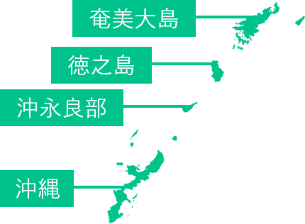 奄美大島地図