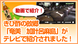 きび酢の故郷「奄美　加計呂麻島」がテレビで紹介されました